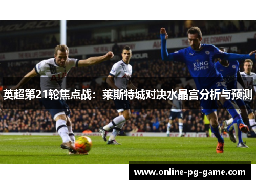 英超第21轮焦点战:莱斯特城对决水晶宫分析与预测 英超第21轮焦点战:莱斯特城对决水晶宫分析与预测